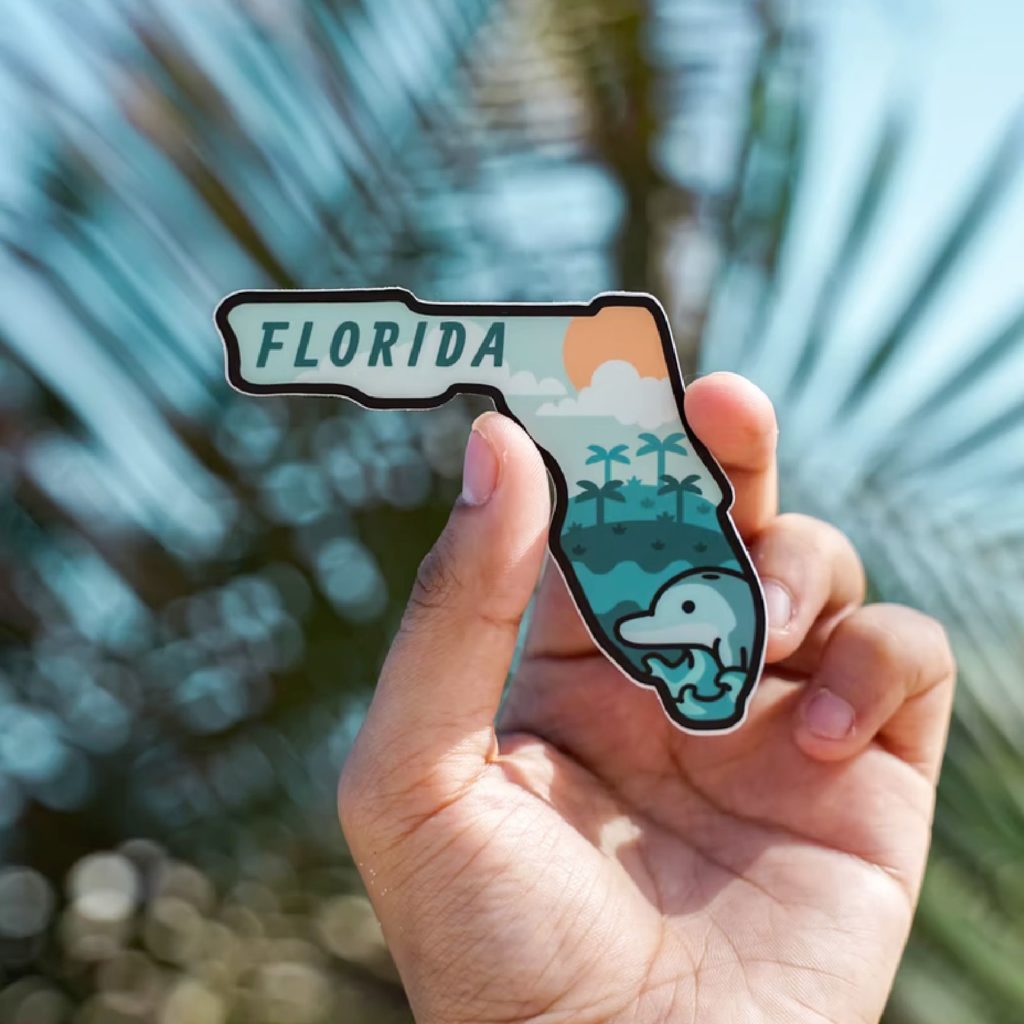 305 is home
