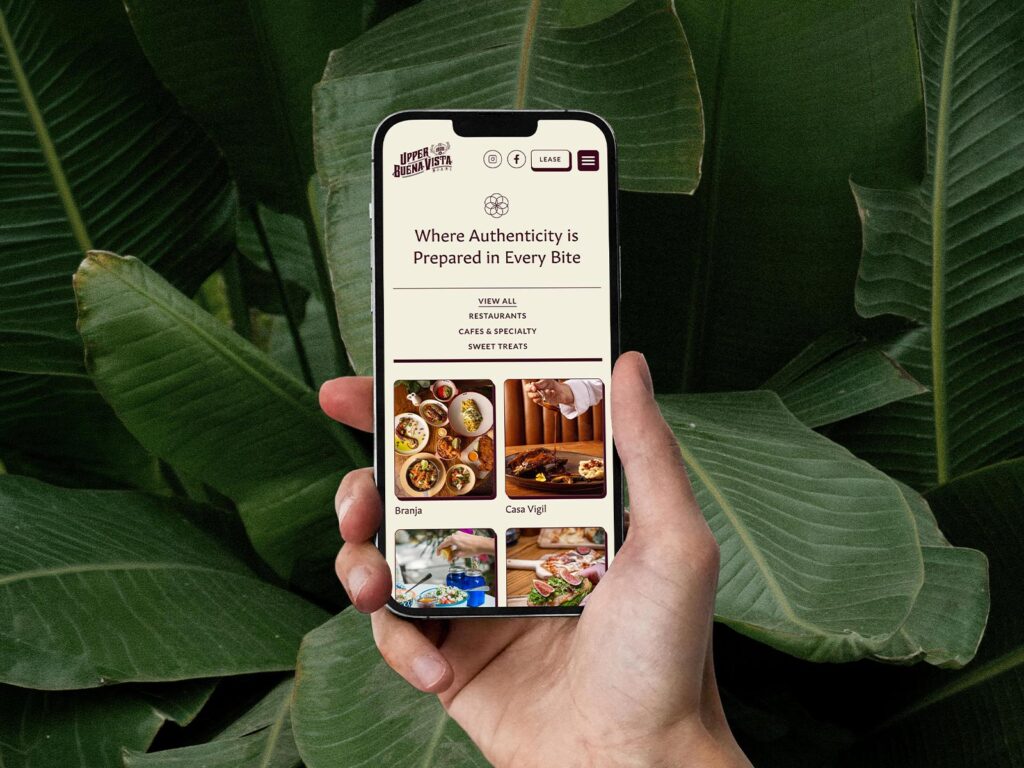 Upper Buena Vista website mock